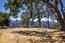 Luxury Homes in Carmel Valley (Image 2)