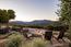 Luxury Houses for sale in Carmel (Image 2)