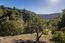 Luxury Houses for sale in Carmel Valley (Image 8)