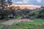 Luxury Homes for sale in Carmel (Image 4)