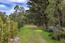Luxury Homes for sale in Carmel (Image 5)
