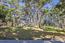 Luxury Homes in Pebble Beach (Image 4)