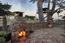 Luxury Homes for sale in Pacific Grove (Image 34)