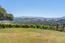 Luxury Homes for sale in Corral de Tierra (Image 49)
