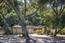 Luxury Homes in Carmel Valley