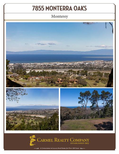 Property Flyer