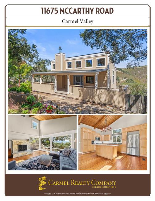 Property Flyer