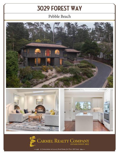 Property Flyer