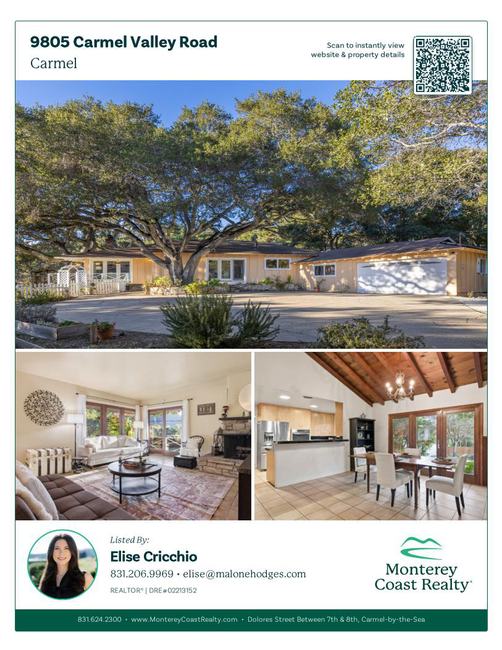 Property Flyer