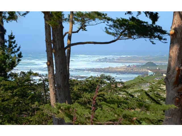 1148 Porque Lane - SOLD, Pebble Beach