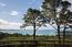 3164 Palmero Way - SOLD (Image 22)