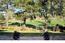 2984 Bird Rock Road - SOLD (Image 6)