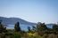 1515 Riata Road - SOLD (Image 3)