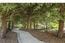 1139 Portola Road - SOLD (Image 22)