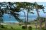 1139 Portola Road - SOLD (Image 24)