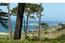 1139 Portola Road - SOLD (Image 6)