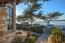 26077 Scenic Road - SOLD (Image 6)