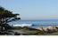 26149 Scenic - SOLD (Image 8)