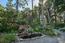 2816 Sloat Road - SOLD (Image 29)