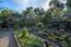 2816 Sloat Road - SOLD (Image 31)
