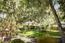 2869 Coyote Road - SOLD (Image 5)