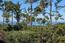 3063 Forest Way - SOLD (Image 2)
