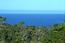 3071 Forest Way - SOLD (Image 4)