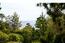 1451 Oleada Road - SOLD (Image 2)