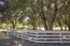14 Lismore Lane - SOLD (Image 76)