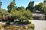 1035 San Carlos Road - SOLD (Image 3)