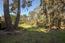2810 Forest Lodge - SOLD (Image 23)