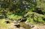 2828 Sloat Road - SOLD (Image 10)