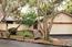 2932 Congress Road - SOLD (Image 18)