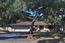 1100 Presidio Road - SOLD (Image 2)