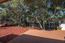 1100 Presidio Road - SOLD (Image 24)