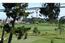 3017 Bird Rock Road - SOLD (Image 5)