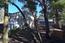 Ocean Ave 2NE of Carpenter - SOLD (Image 3)