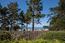 1031 The Old Drive - SOLD (Image 7)
