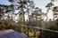 3850 Via Mar Monte - SOLD (Image 14)