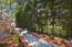 1277 Lisbon Lane - SOLD (Image 24)