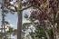 3041 Bird Rock Road - SOLD (Image 18)