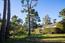 1438 Lisbon Lane - SOLD (Image 17)