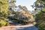 1438 Lisbon Lane - SOLD (Image 19)