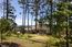 3893 Ronda Road - SOLD (Image 42)
