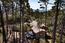 3893 Ronda Road - SOLD (Image 44)