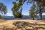 35180 Sky Ranch Road (Image 4)