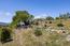 35000 Sky Ranch Road (Image 4)