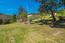 77 Laureles Grade (Image 24)