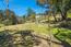 77 Laureles Grade (Image 25)