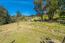 77 Laureles Grade (Image 26)